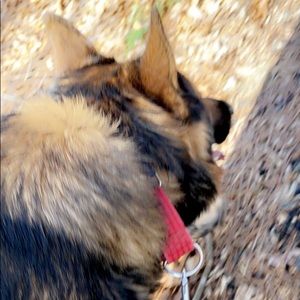 Meet your Posher, Ethan